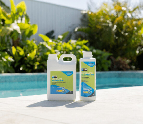 ალგეციდი