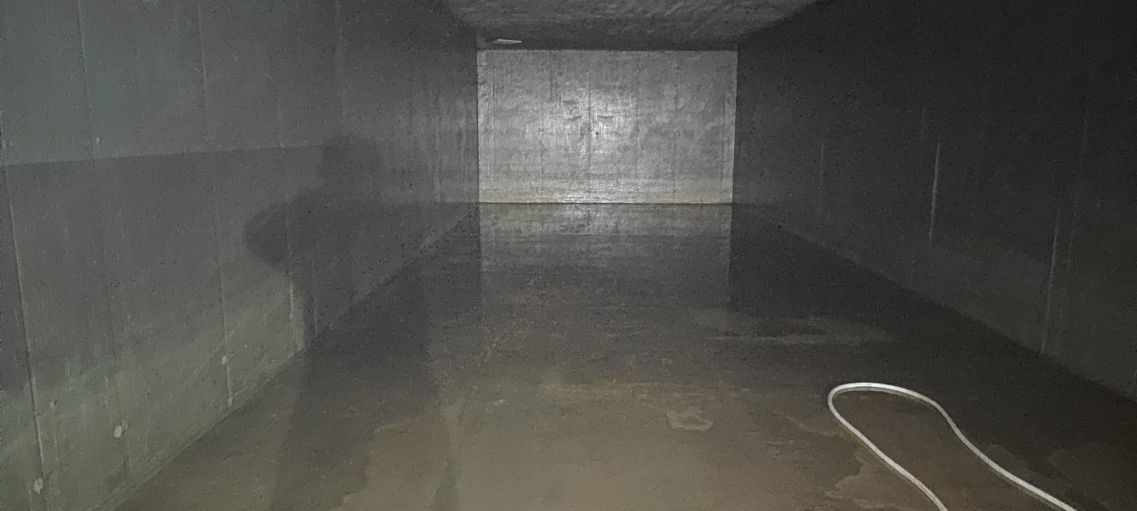 WhatsApp Image 2026 03 31 at 19.49.03