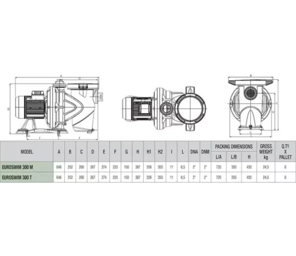 dap_euroswim 300_pump_dimensions 603x603 00a.jpg 595x516